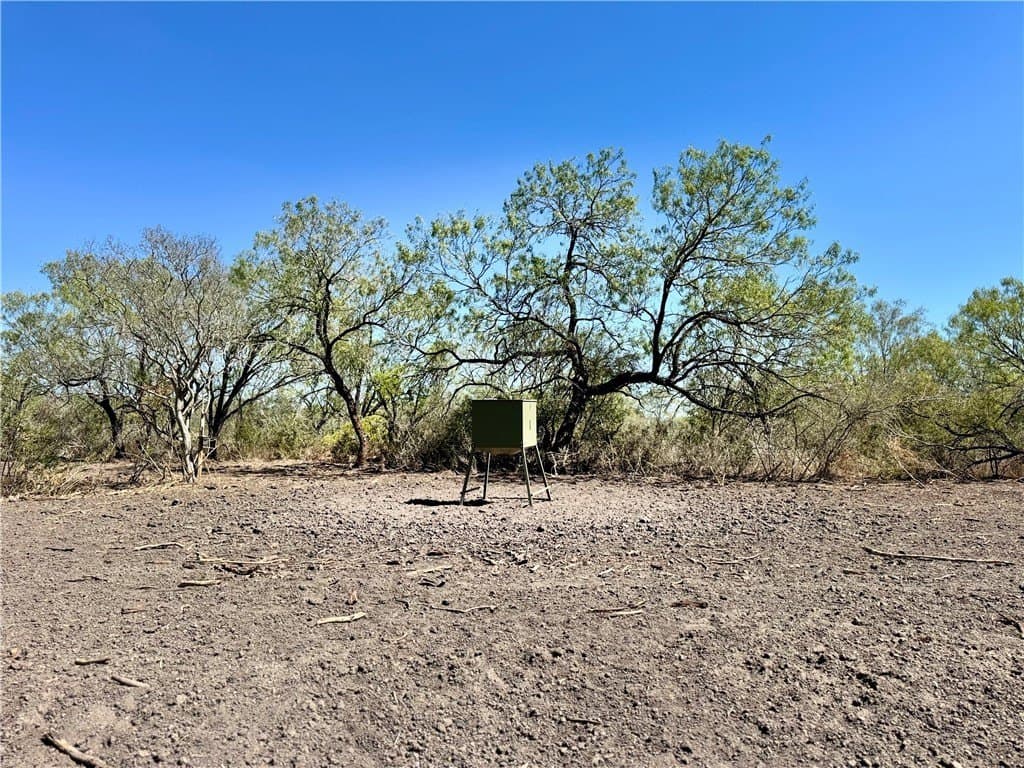 29.63 acres in Atascosa County - photo 34