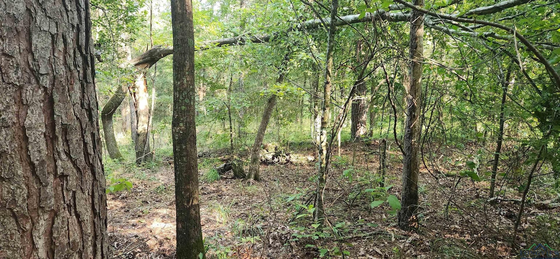 77.58 acres in Marion County - photo 18