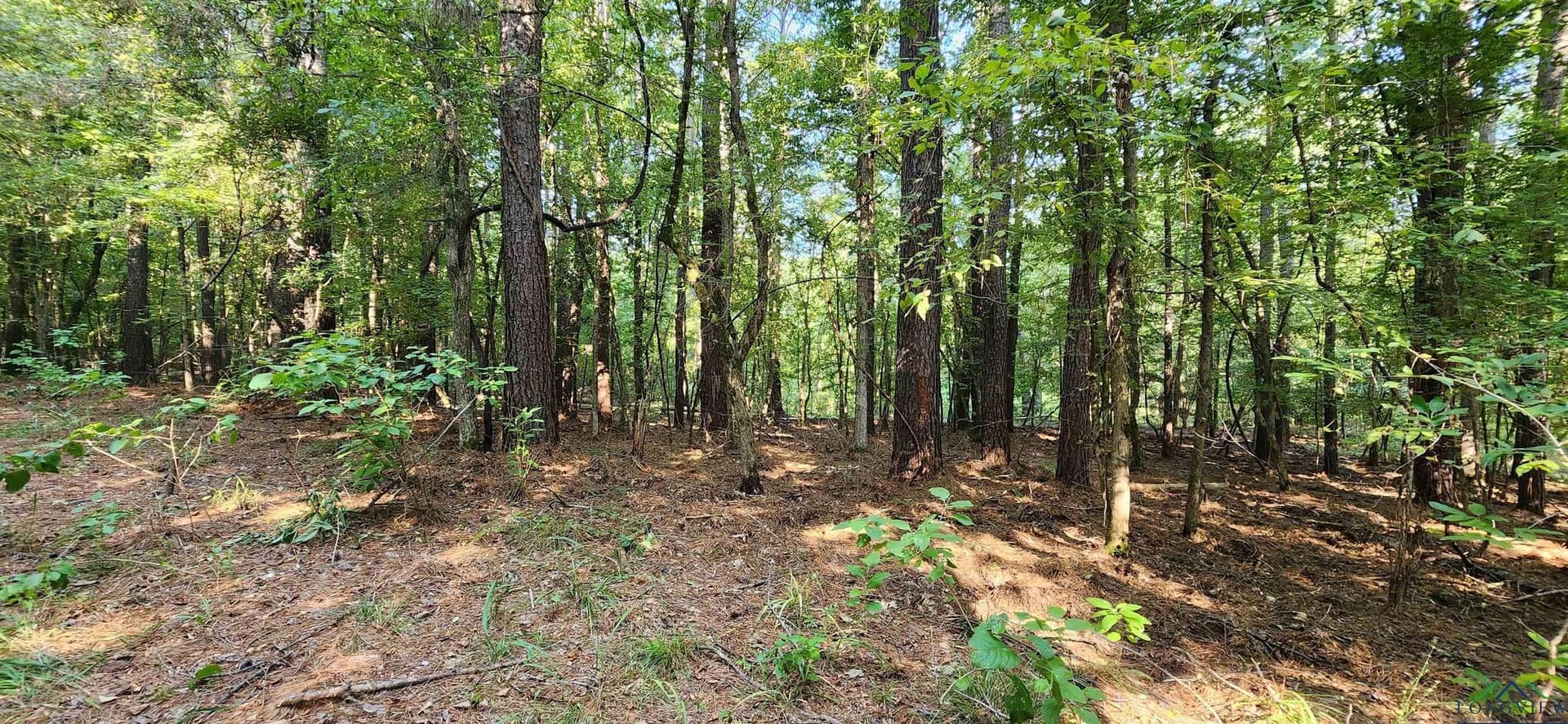 77.58 acres in Marion County - photo 25