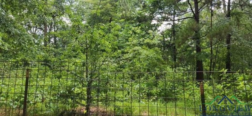 77.58 acres in Marion County - photo 10