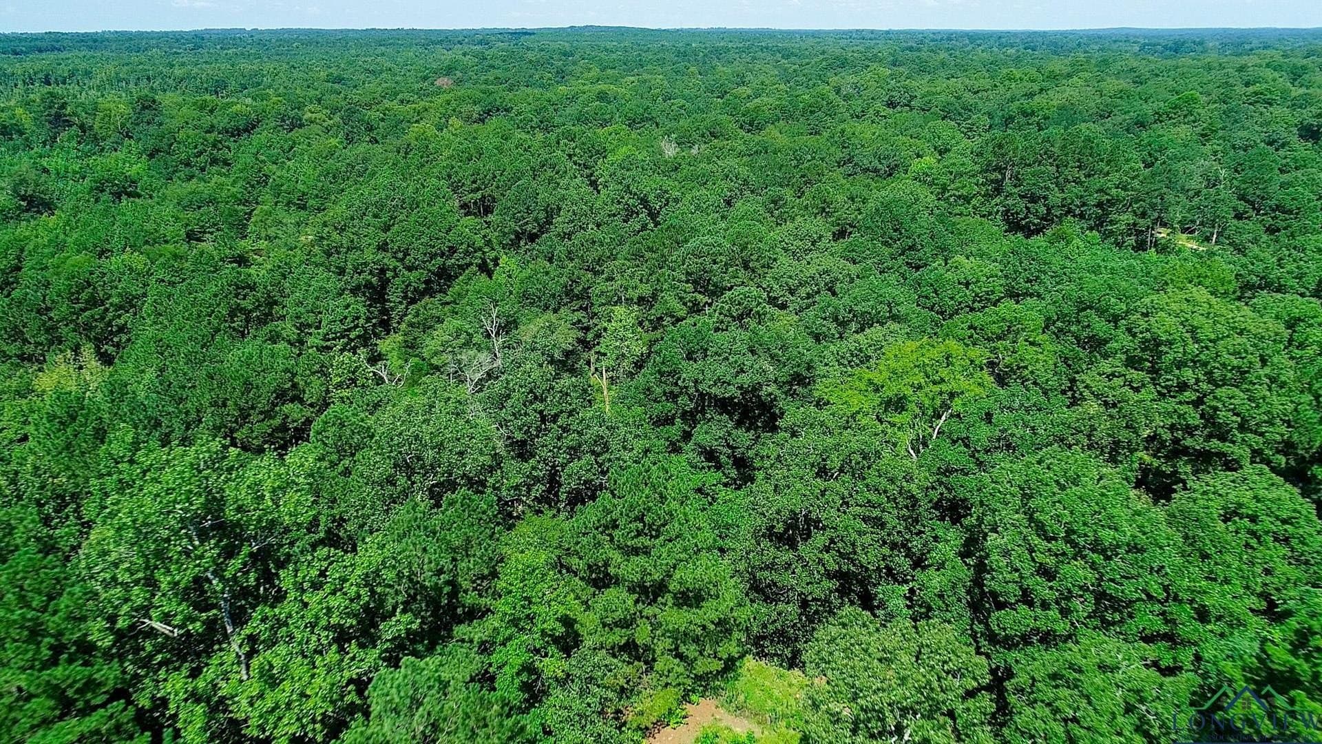 77.58 acres in Marion County - photo 37