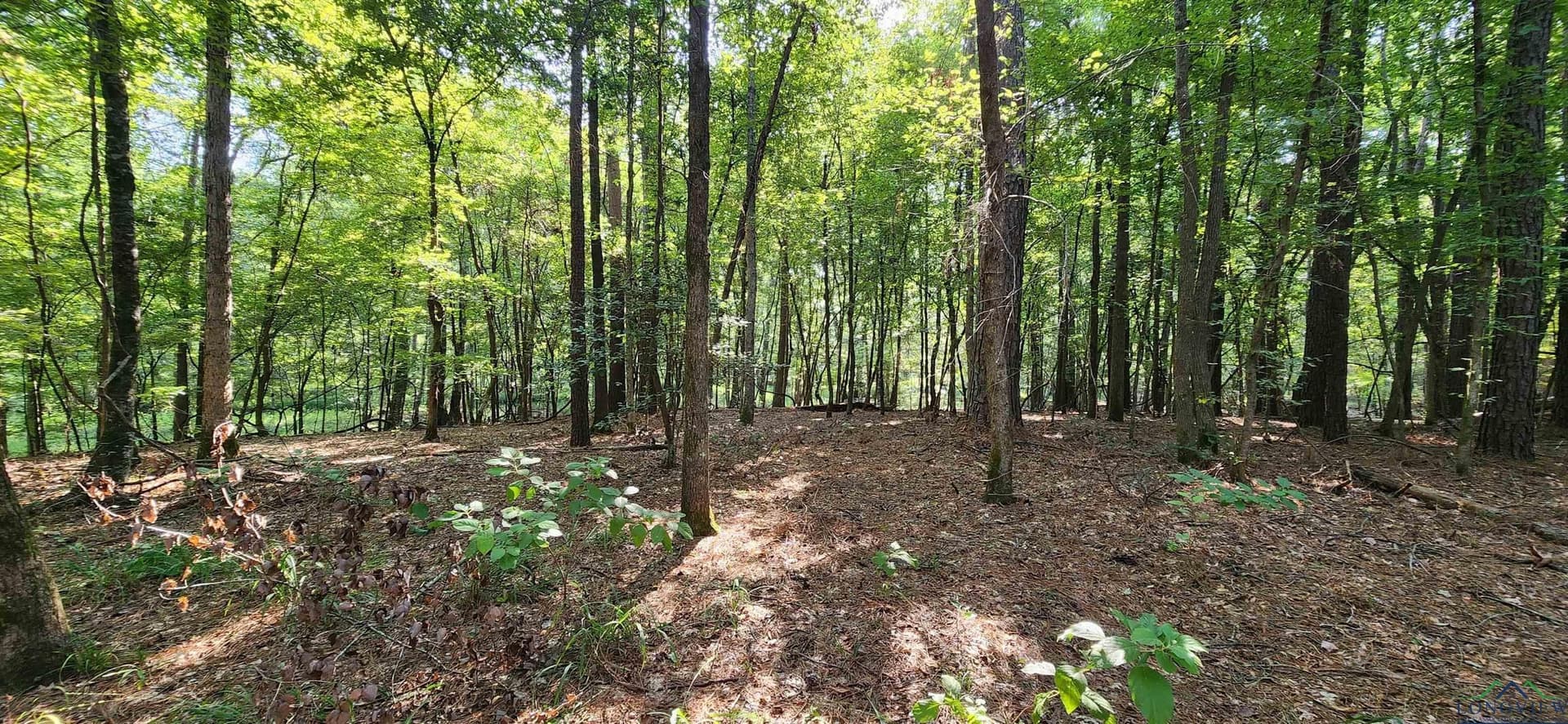 77.58 acres in Marion County - photo 23