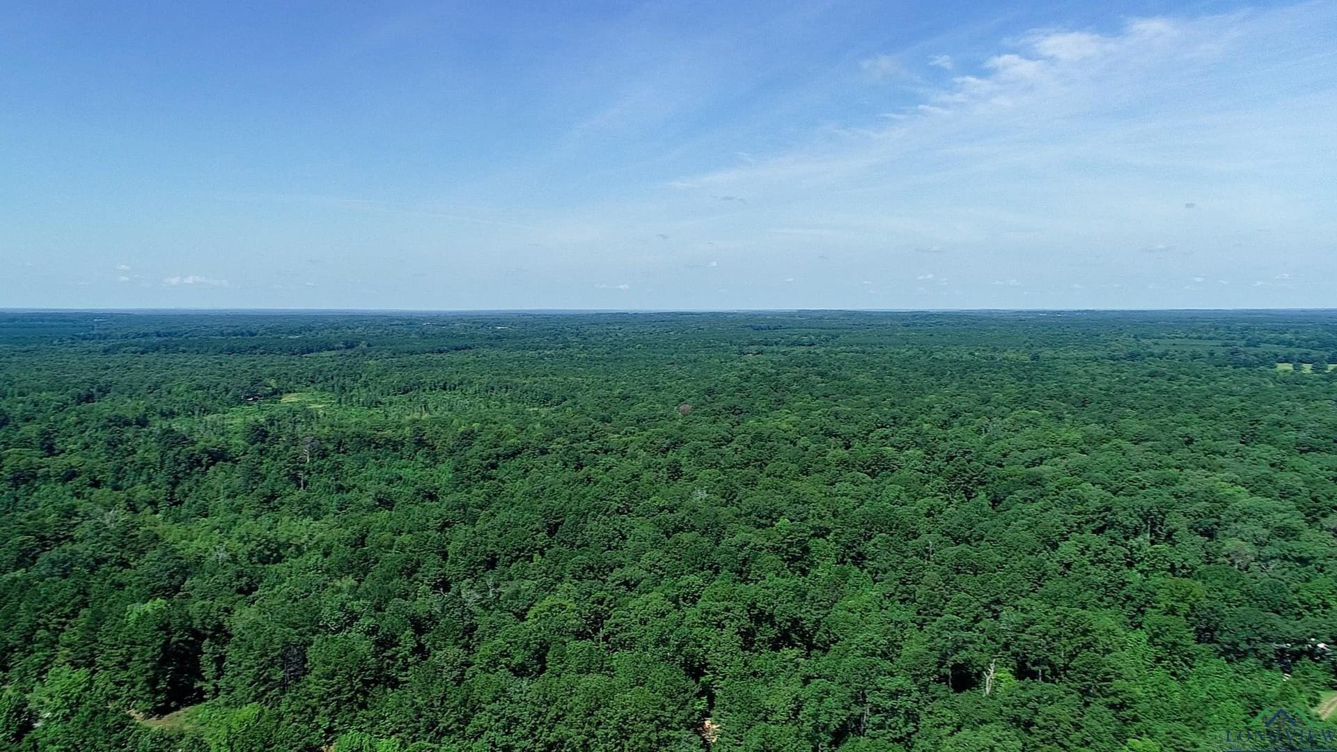 77.58 acres in Marion County - photo 41
