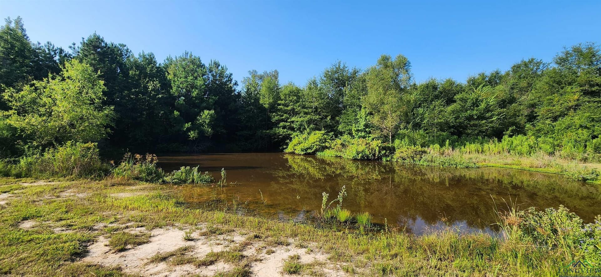 77.58 acres in Marion County - photo 5