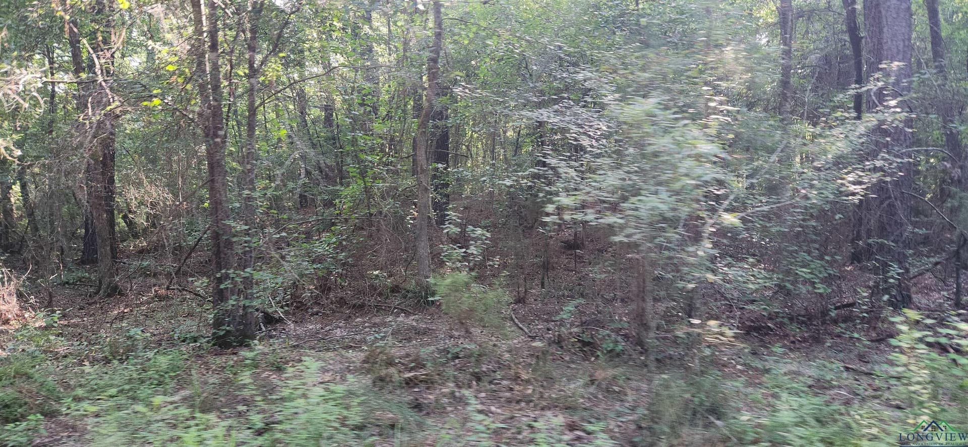 77.58 acres in Marion County - photo 11