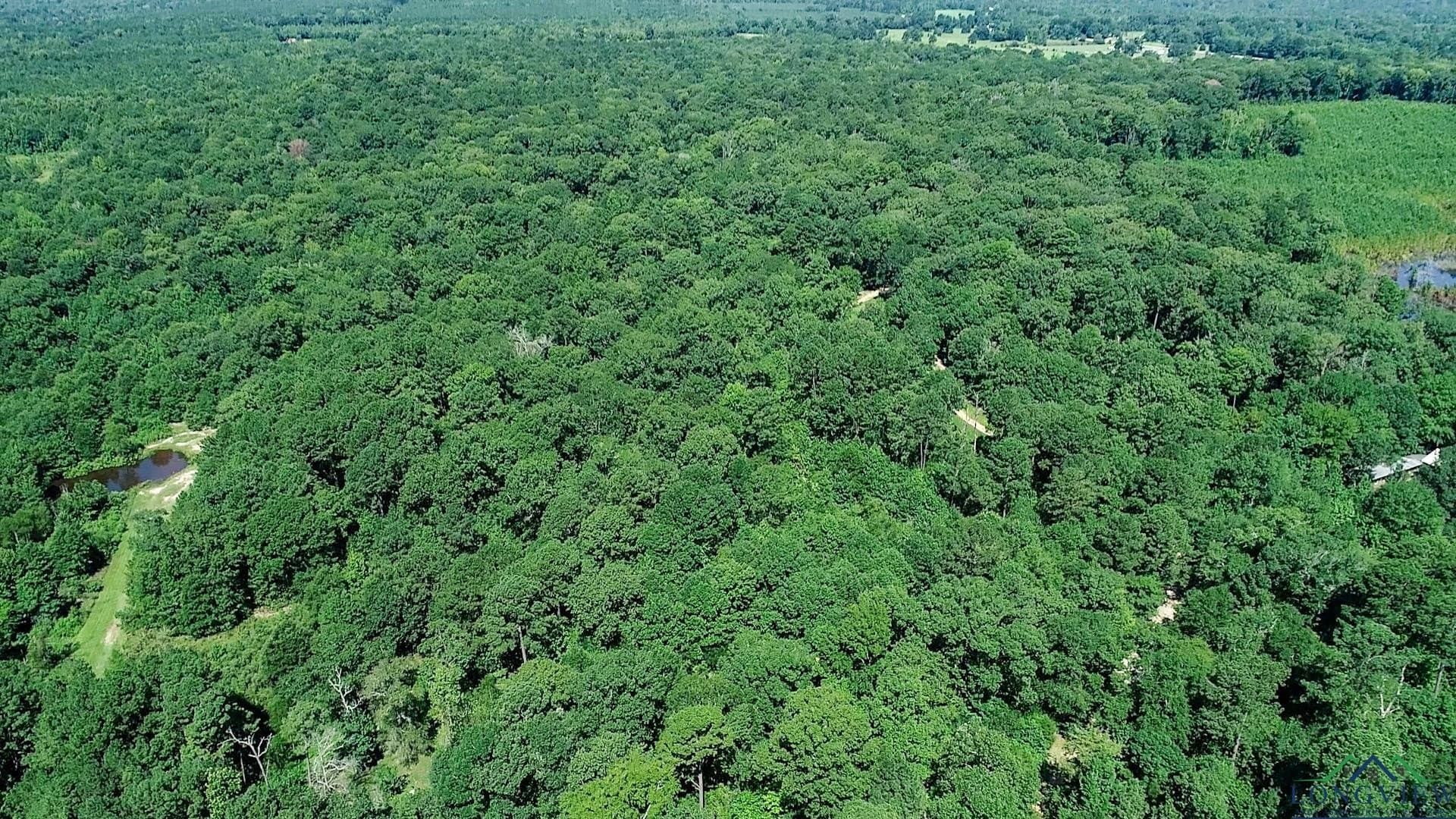 77.58 acres in Marion County - photo 47