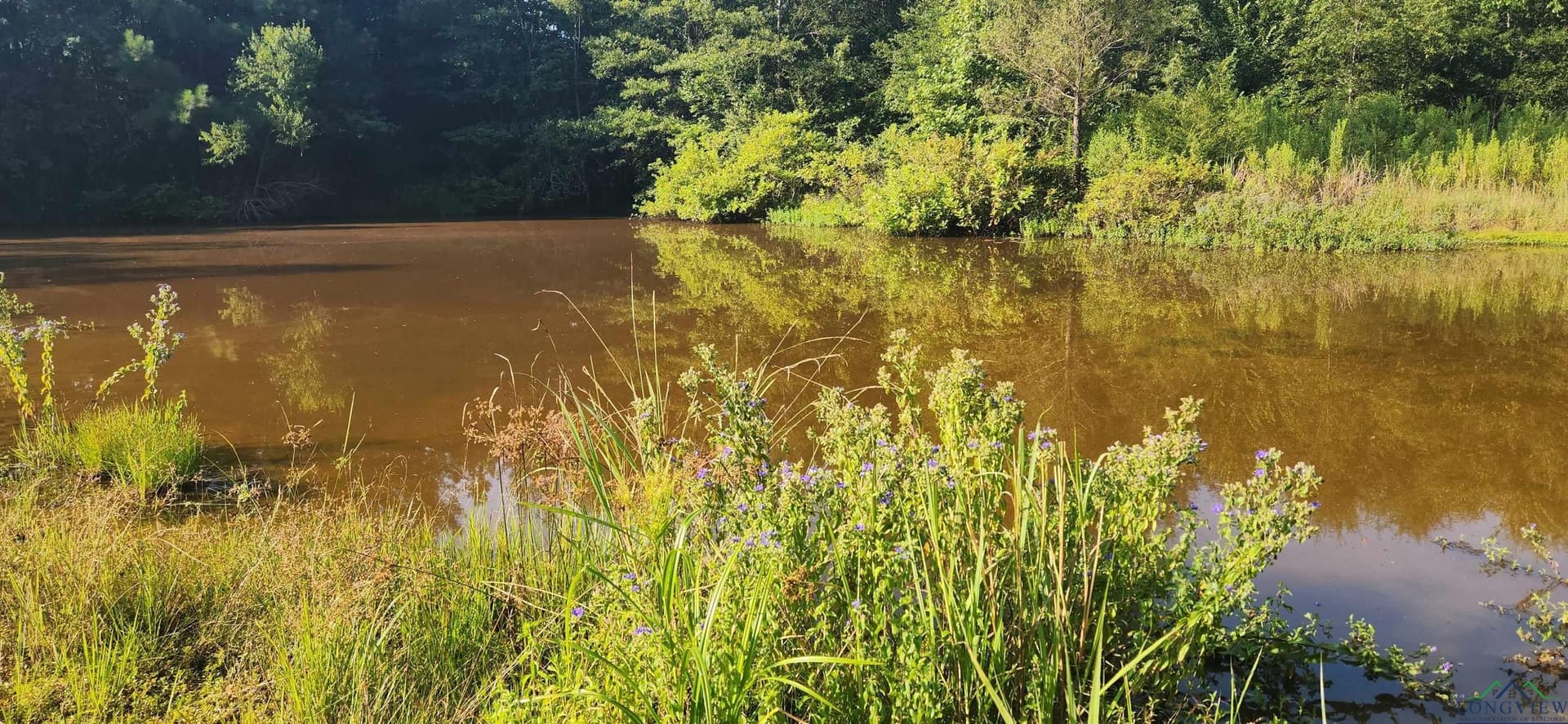 77.58 acres in Marion County - photo 4