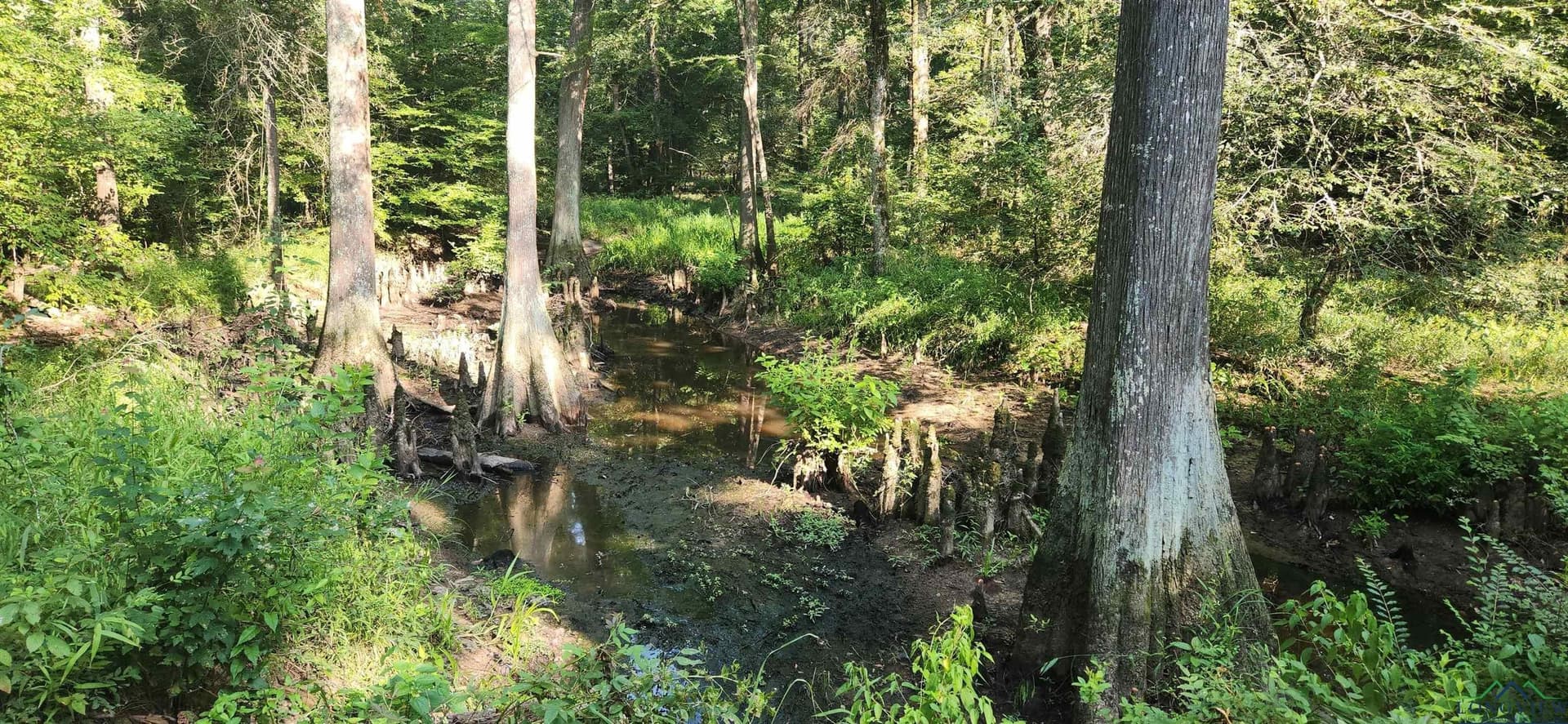 77.58 acres in Marion County - photo 15