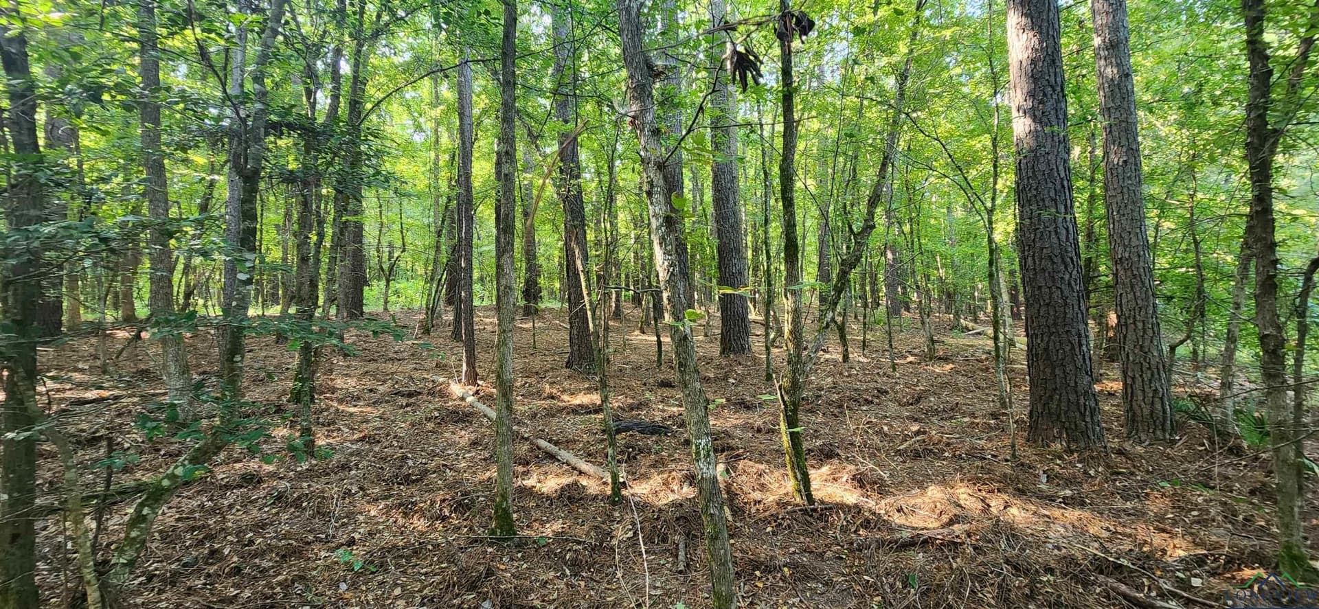 77.58 acres in Marion County - photo 19