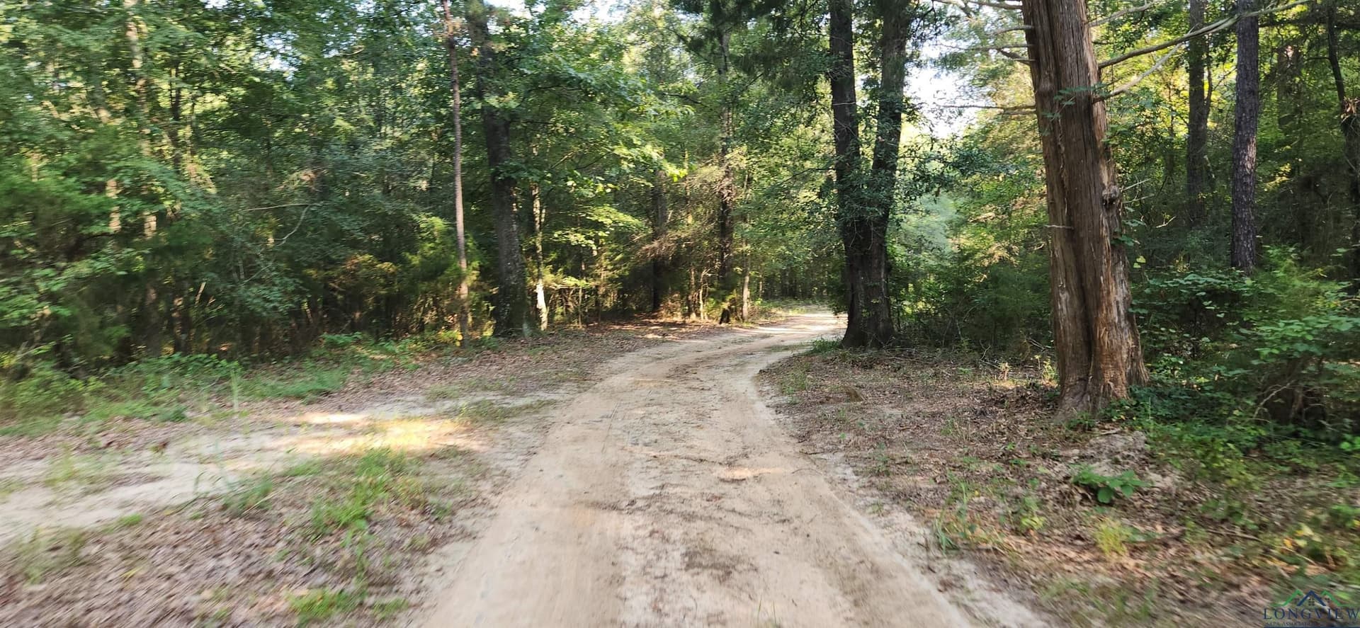 77.58 acres in Marion County - photo 9