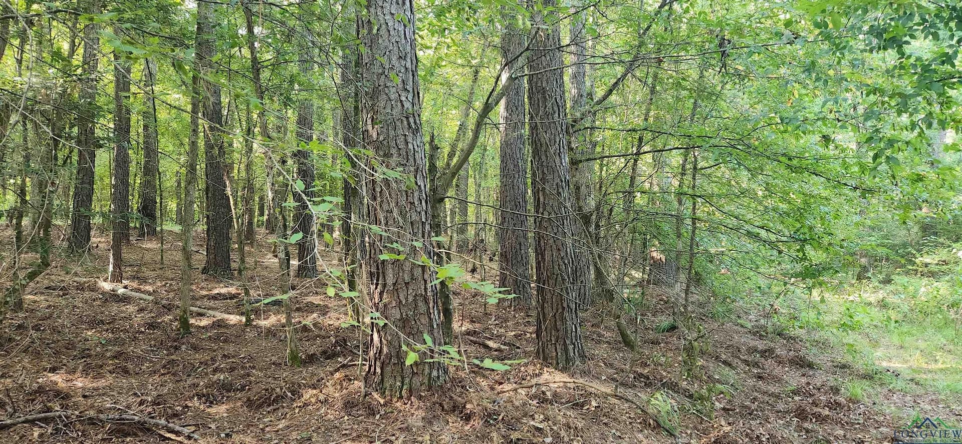 77.58 acres in Marion County - photo 17