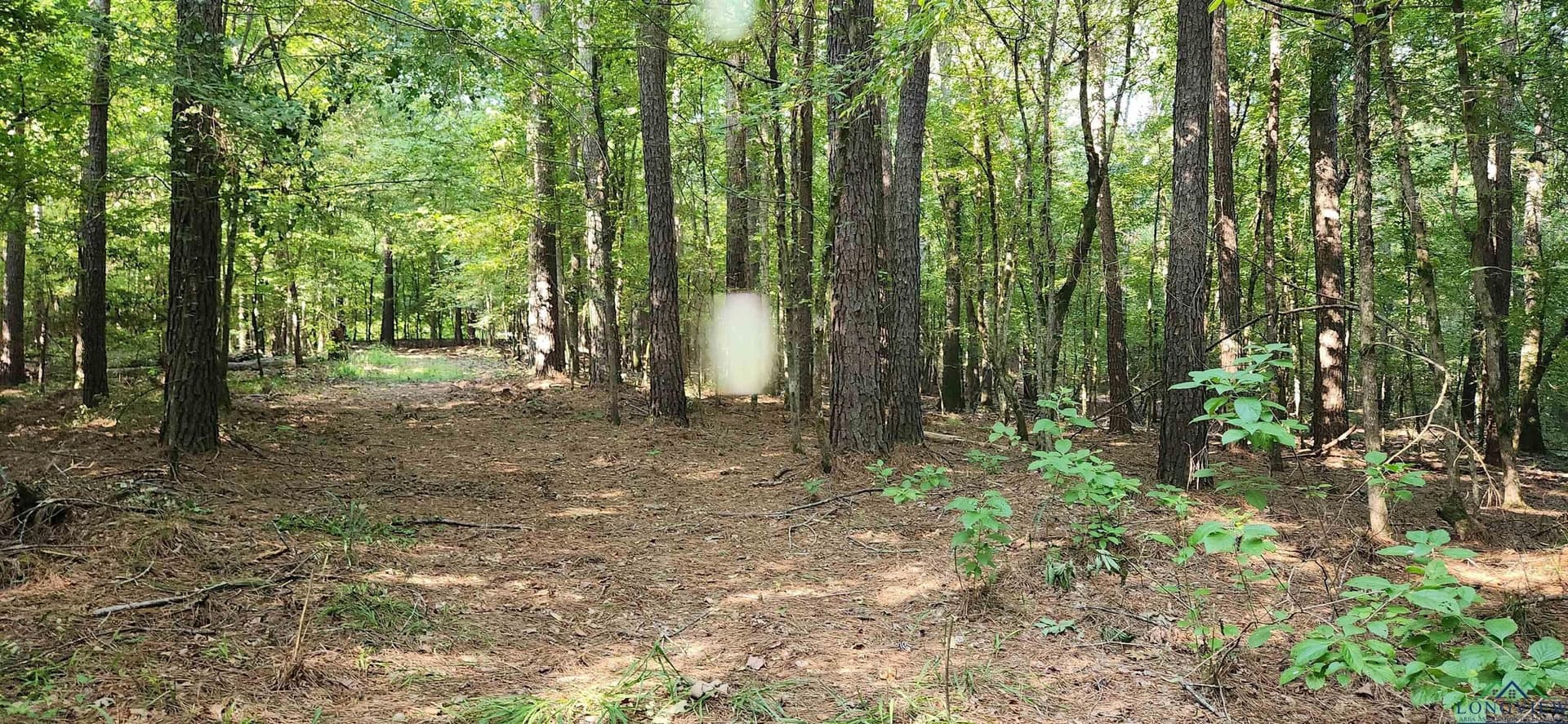 77.58 acres in Marion County - photo 27