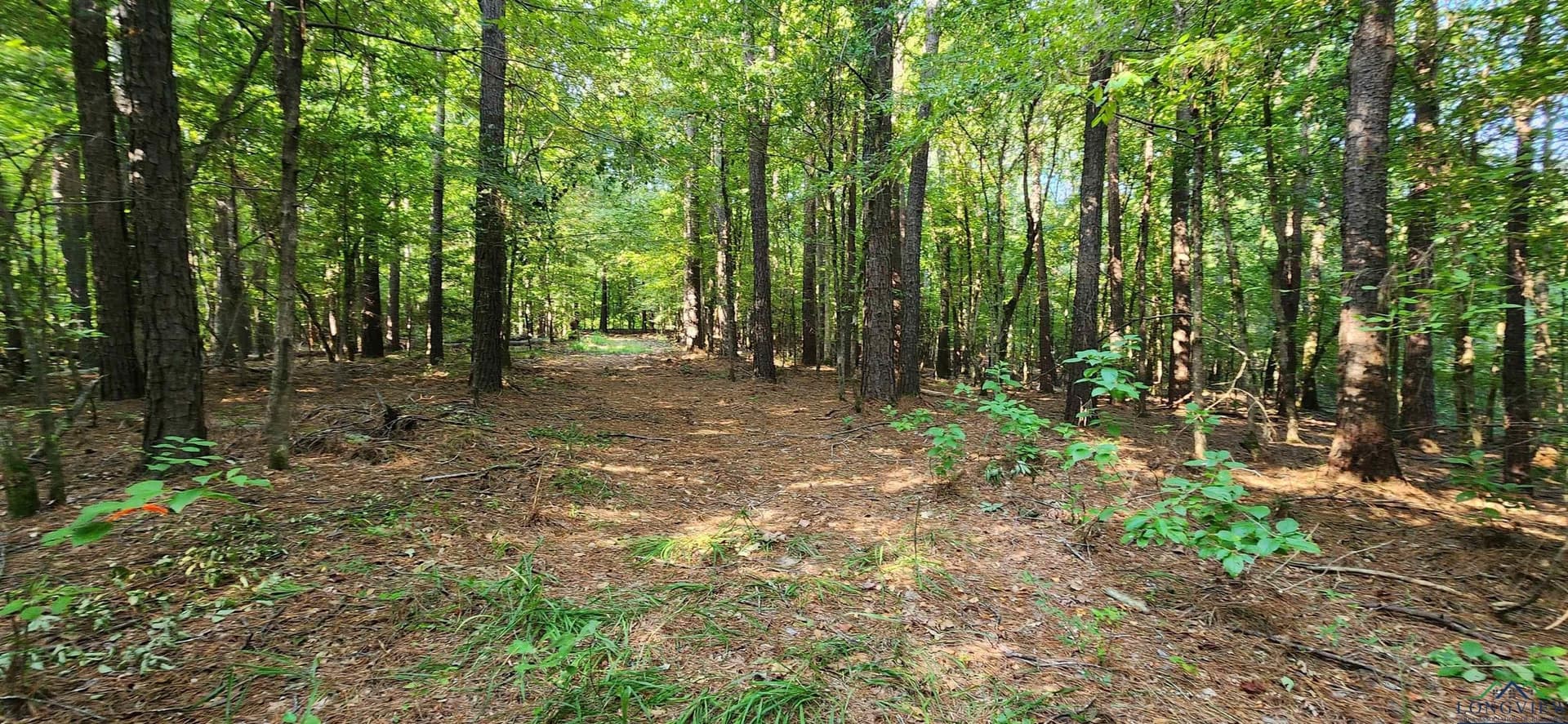 77.58 acres in Marion County - photo 26