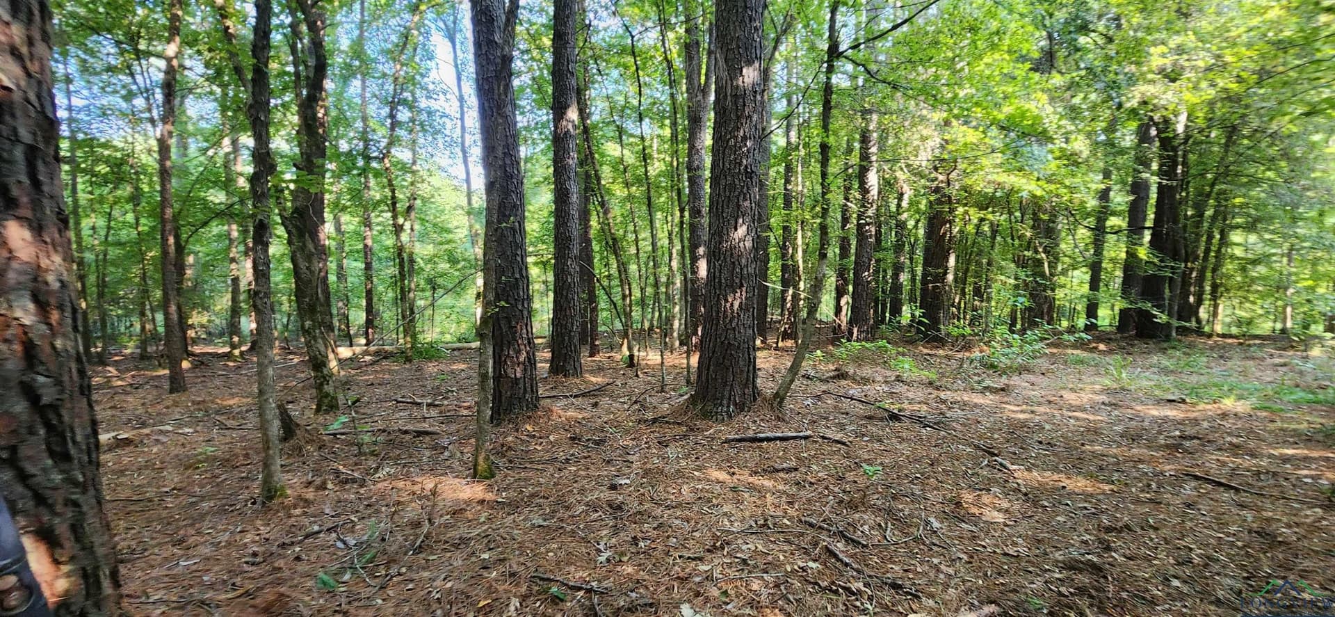 77.58 acres in Marion County - photo 22