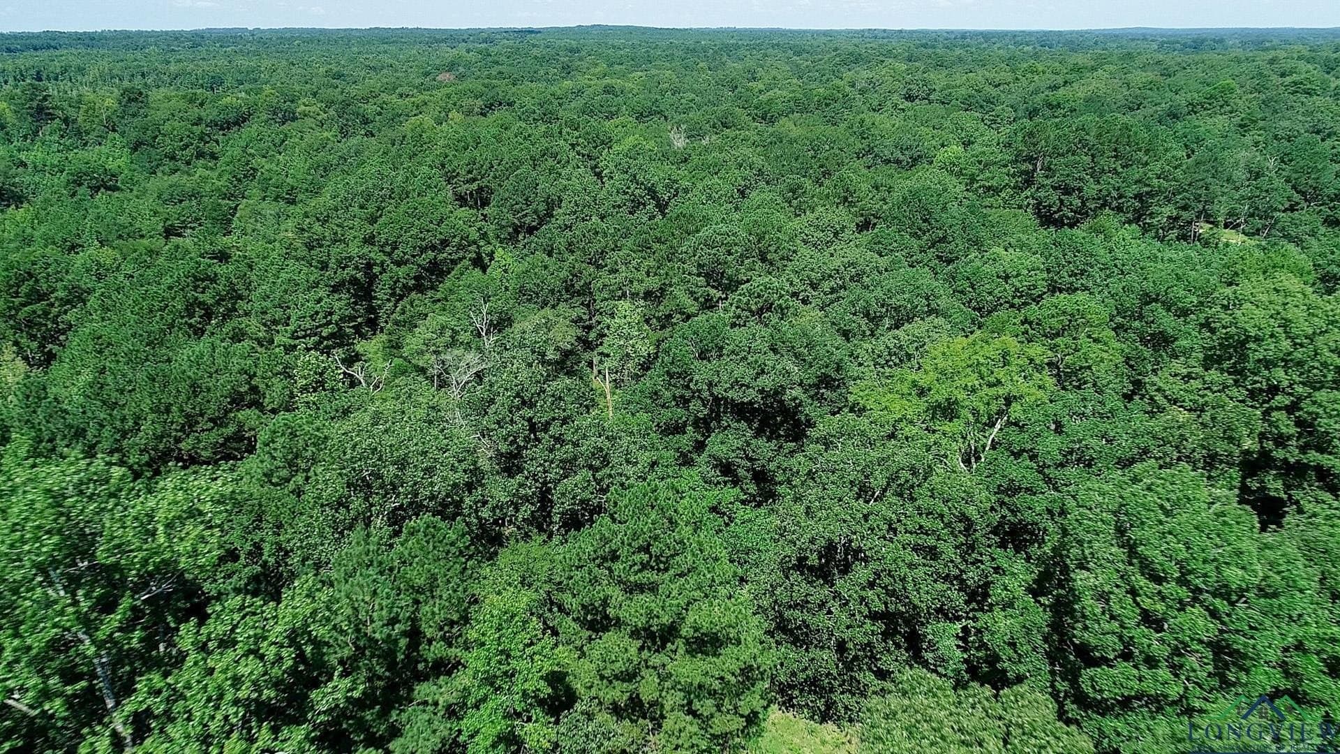 77.58 acres in Marion County - photo 45