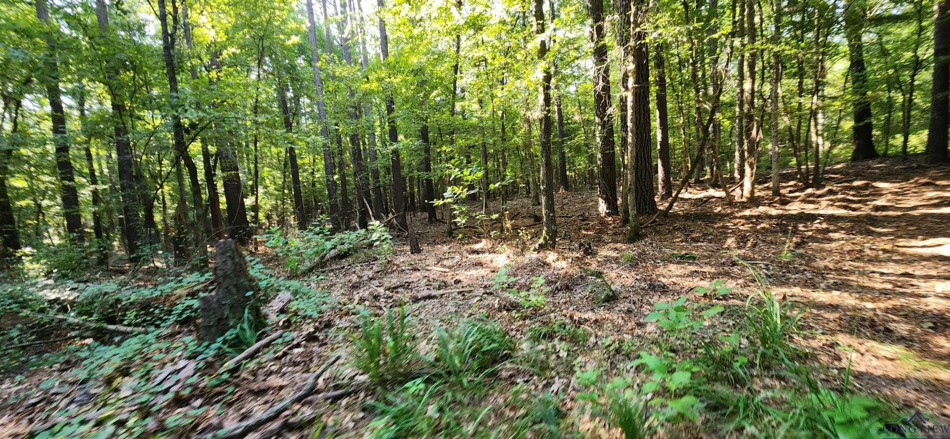77.58 acres in Marion County - photo 21