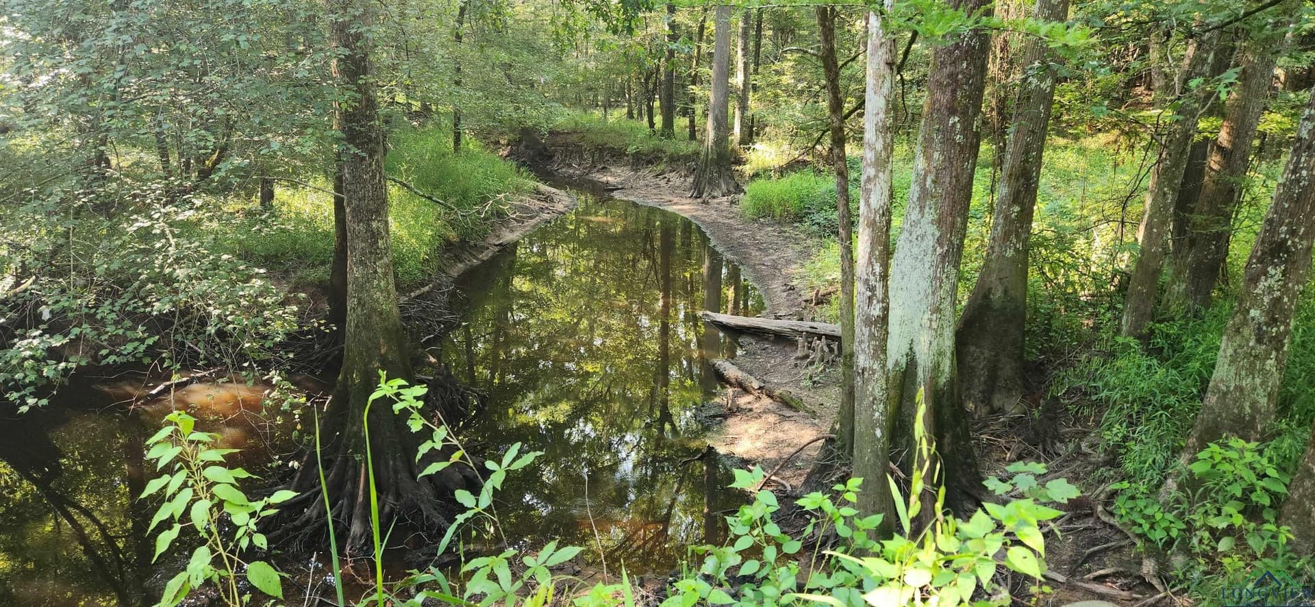 77.58 acres in Marion County - photo 14