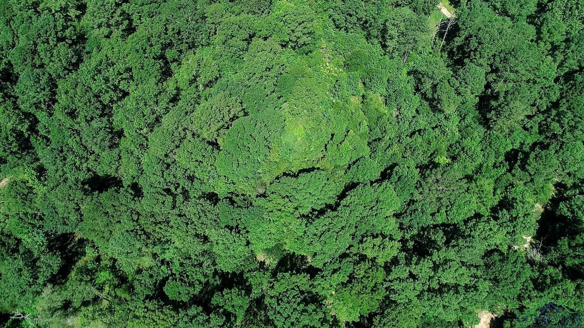 77.58 acres in Marion County - photo 46