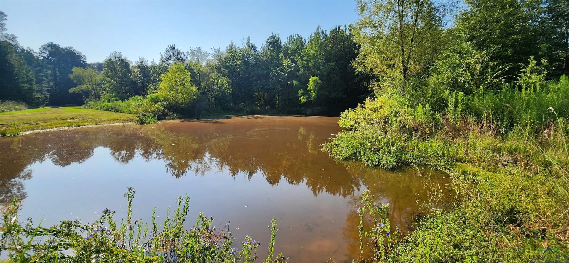77.58 acres in Marion County - photo 6