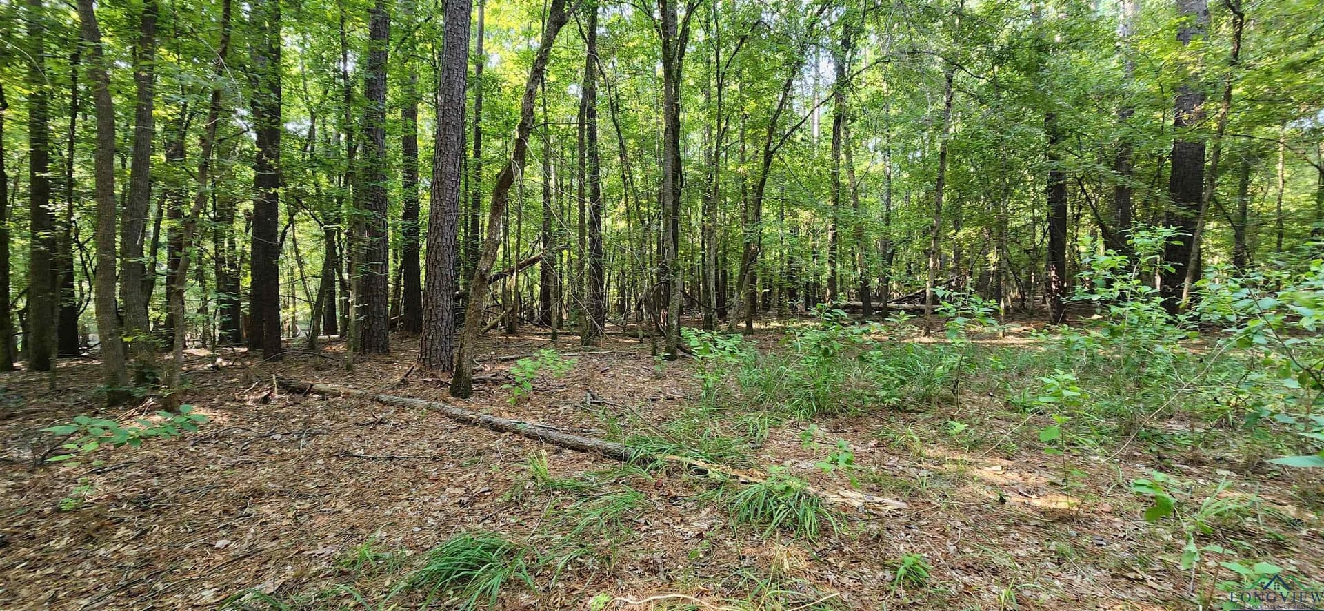 77.58 acres in Marion County - photo 24