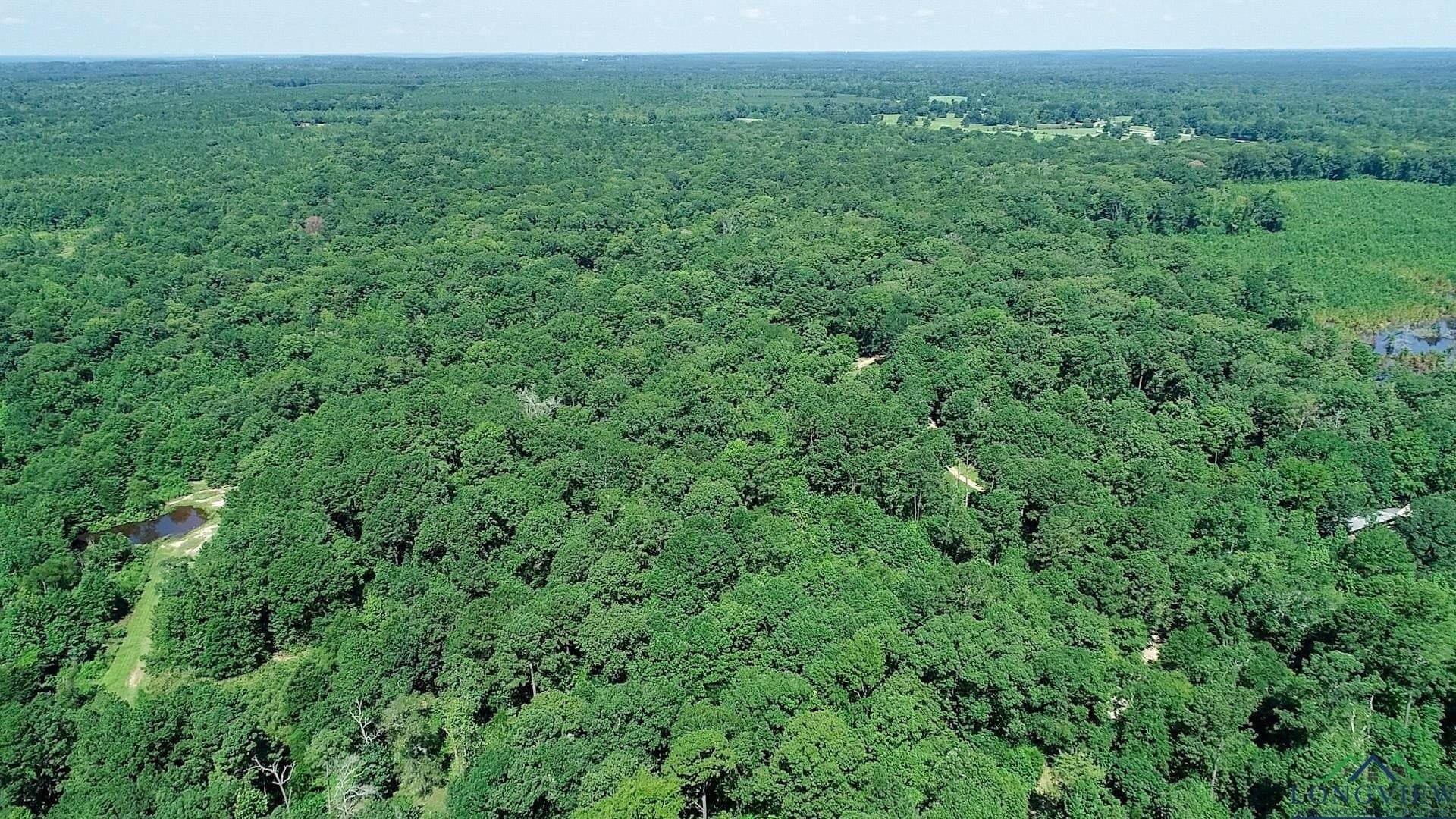 77.58 acres in Marion County - photo 38