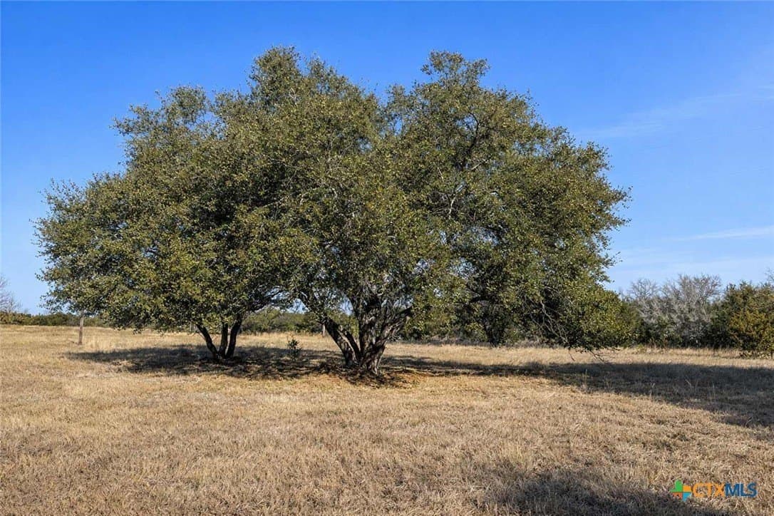 11.04 acres in Coryell County - photo 41