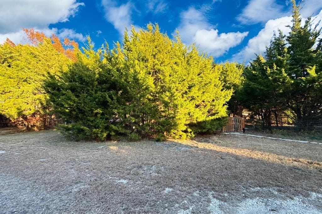 0.11 acres in Collin County - photo 2