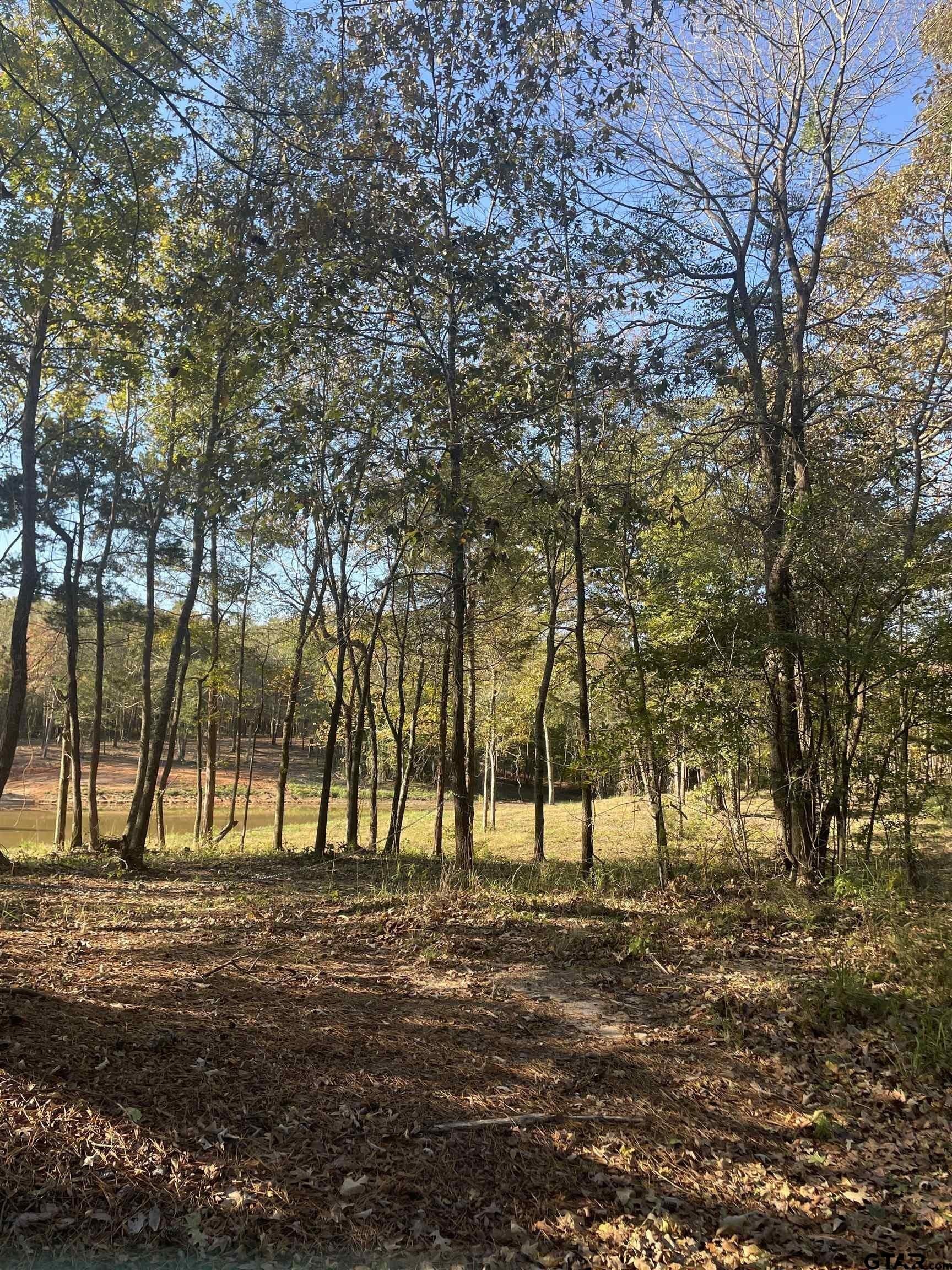 8.78 acres in Upshur County - photo 14