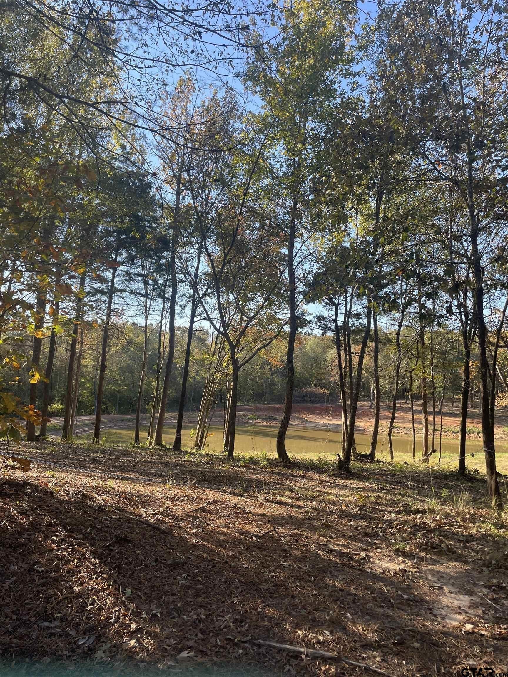 8.78 acres in Upshur County - photo 10