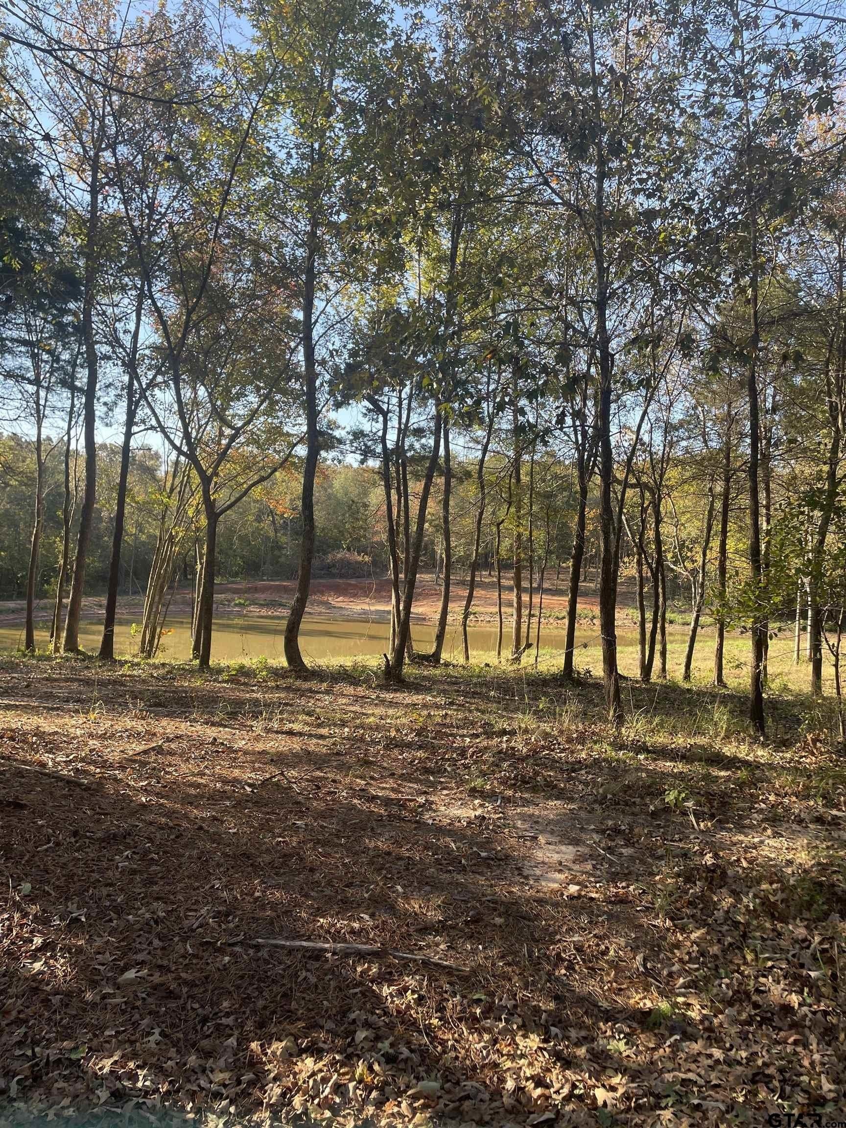 8.78 acres in Upshur County - photo 8