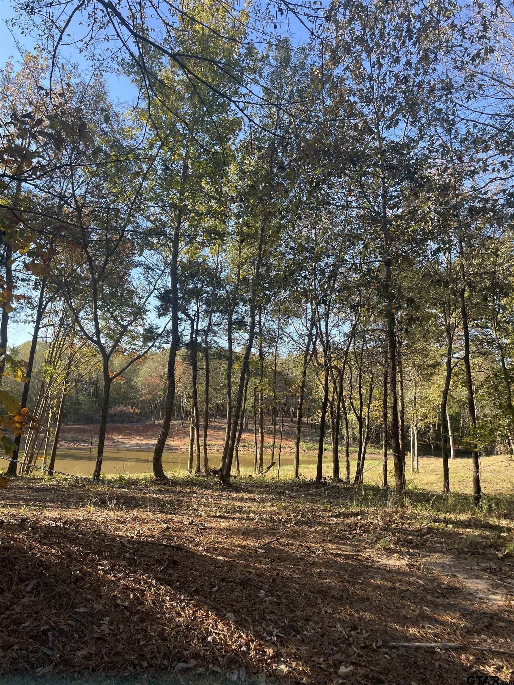 8.78 acres in Upshur County - photo 13