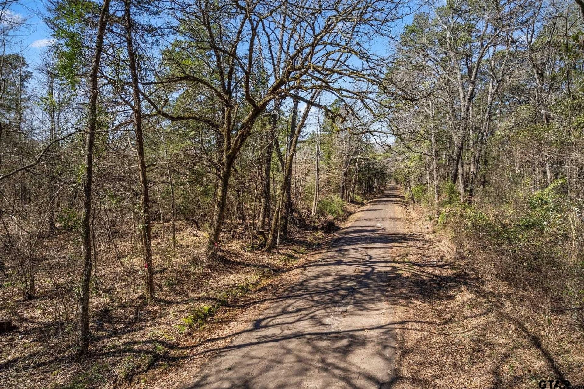 8.78 acres in Upshur County - photo 25