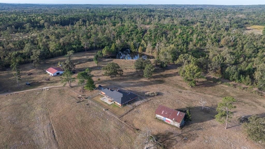 275 acres in Wood County - photo 6