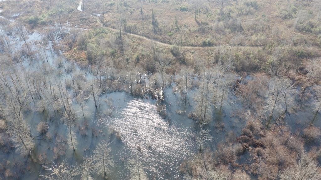 275 acres in Wood County - photo 12
