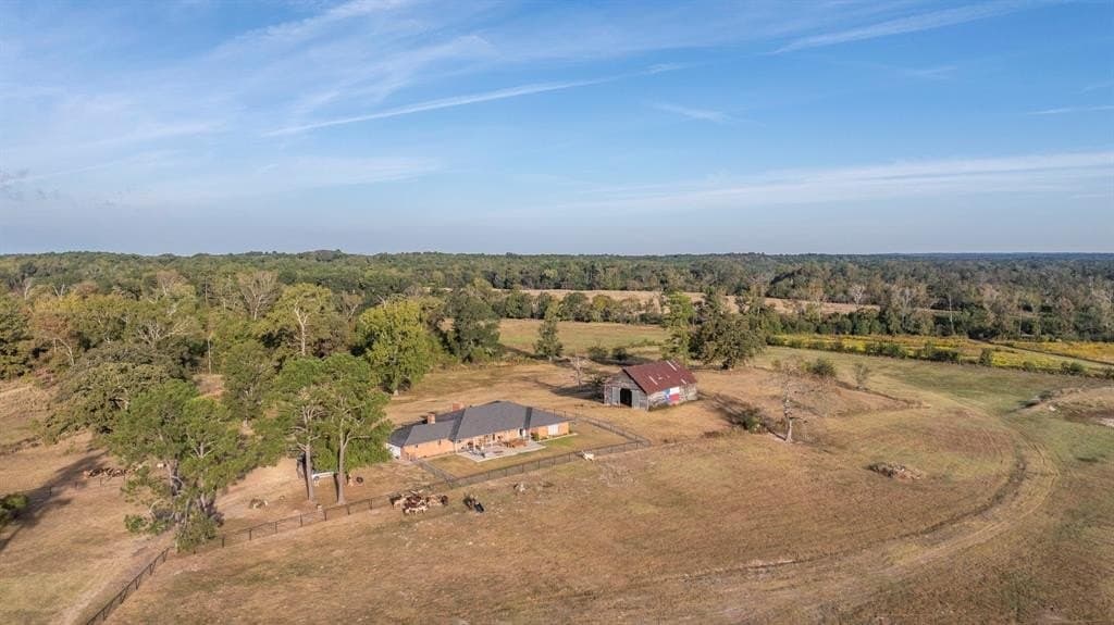275 acres in Wood County - photo 4
