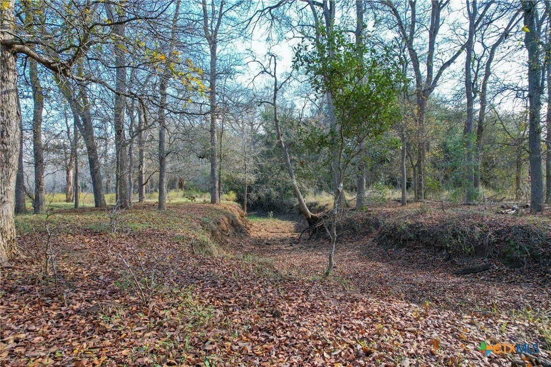 10.1 acres in Gonzales County - photo 10