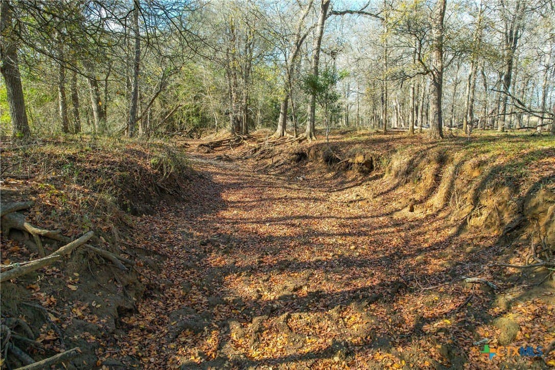 10.1 acres in Gonzales County - photo 6