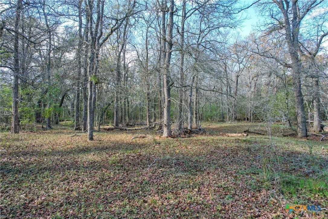 10.1 acres in Gonzales County - photo 9