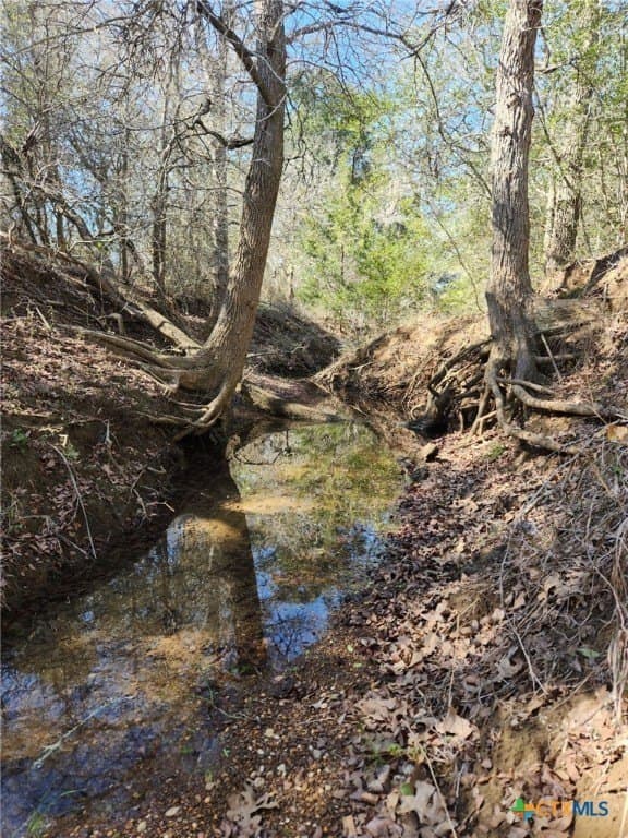 10.1 acres in Gonzales County - photo 5