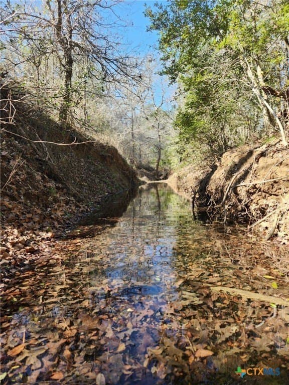 10.1 acres in Gonzales County - photo 3