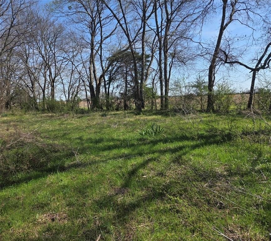 2.14 acres in Fannin County - photo 6