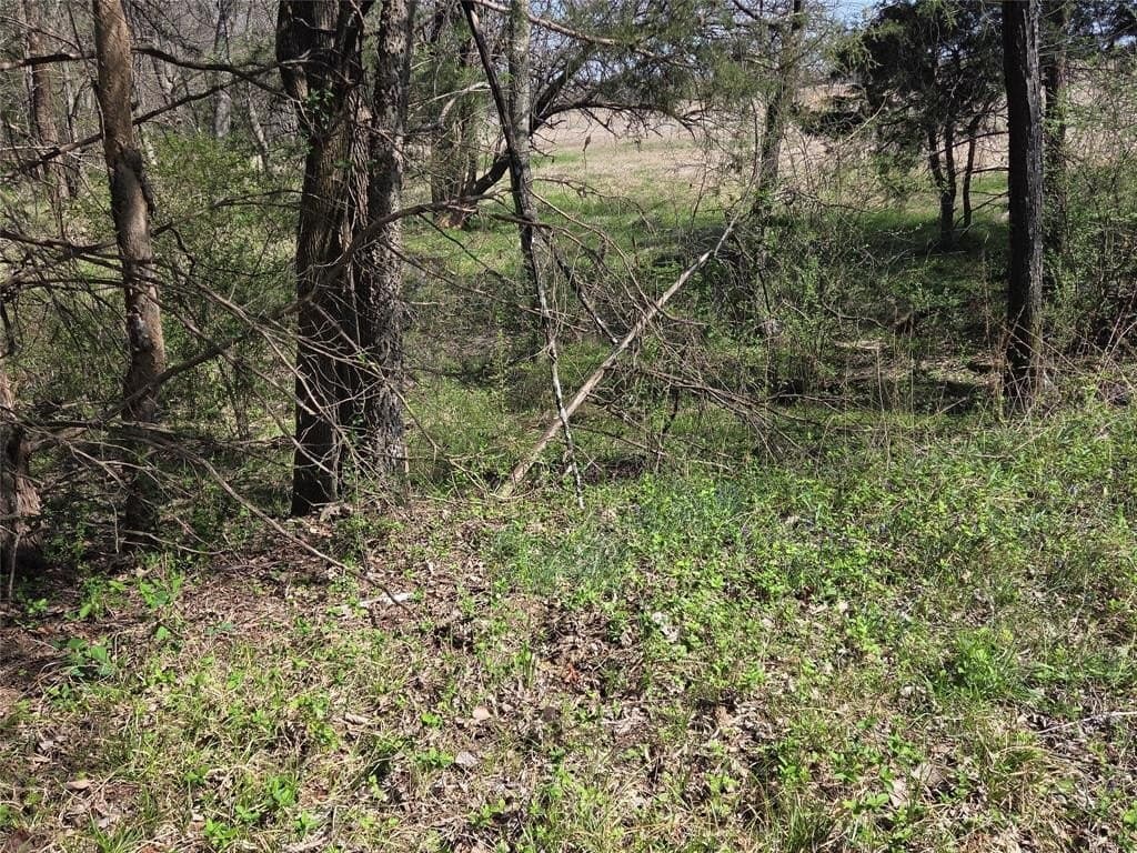 2.14 acres in Fannin County - photo 16