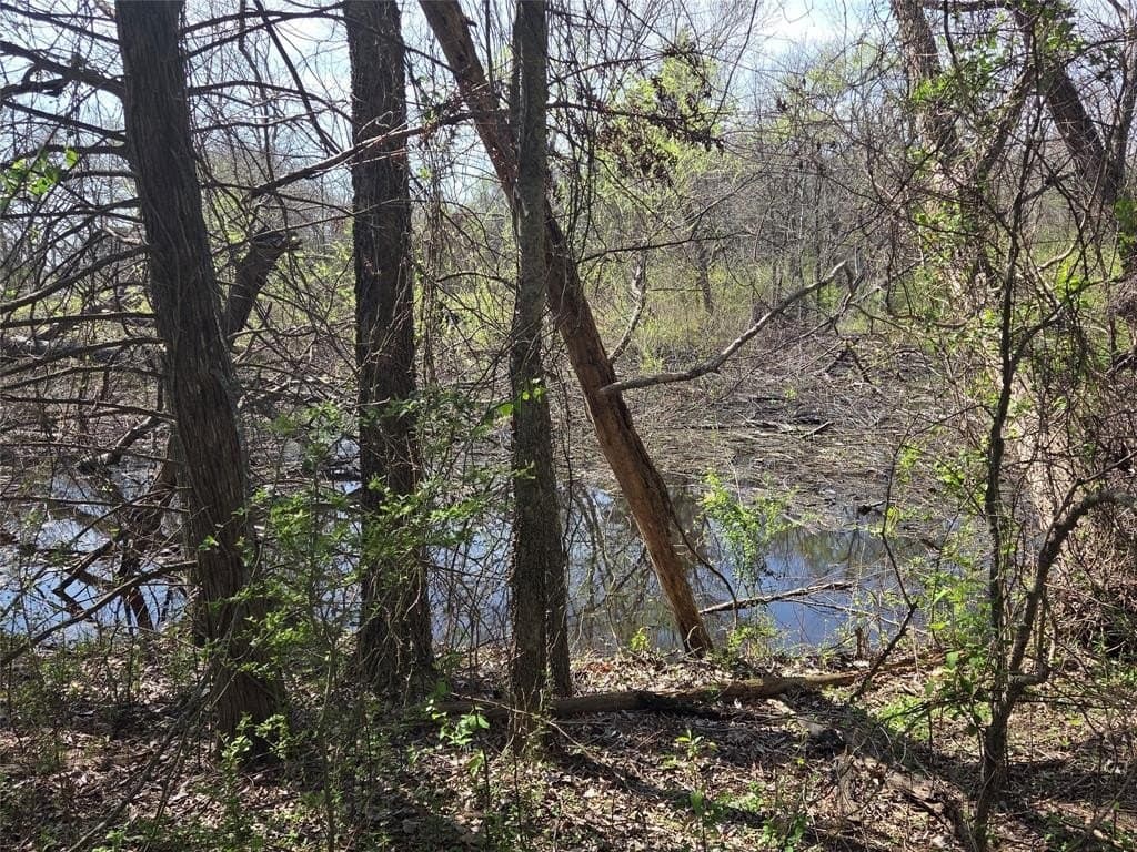 2.14 acres in Fannin County - photo 14