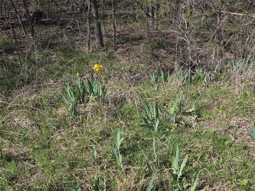 2.14 acres in Fannin County - photo 20