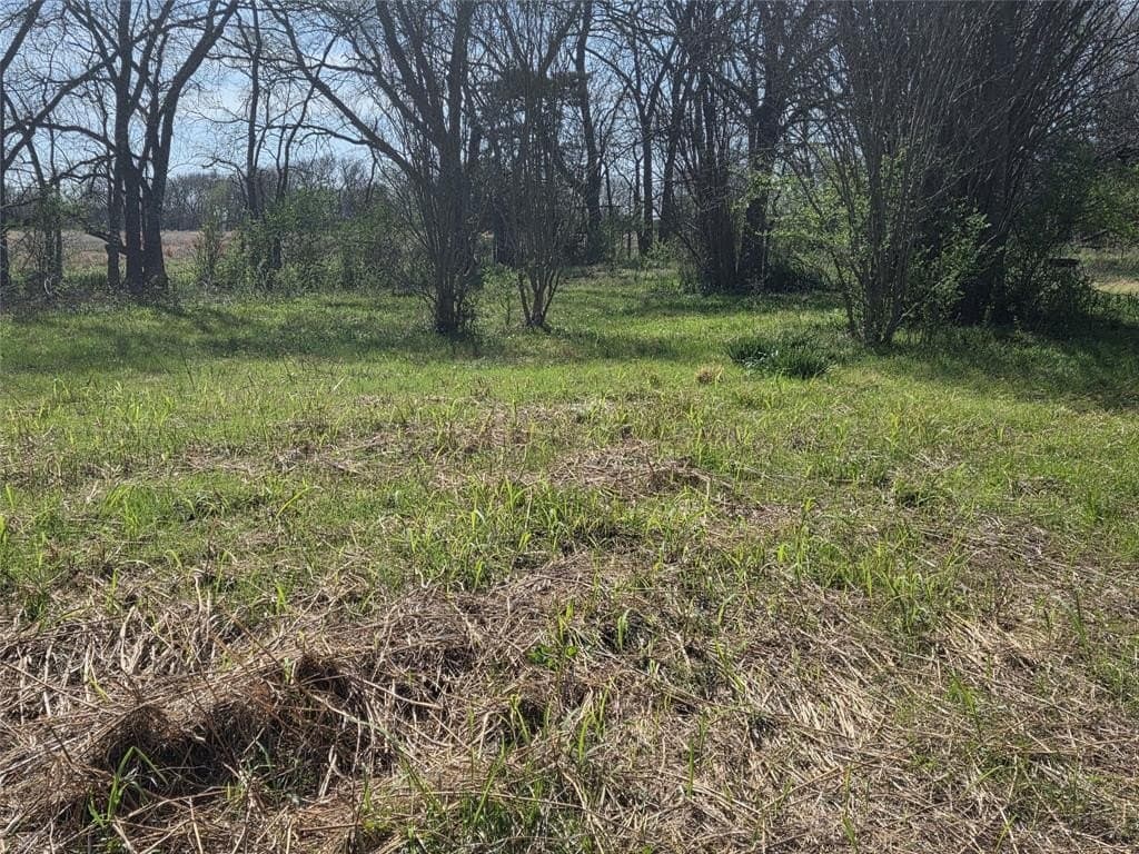 2.14 acres in Fannin County - photo 12