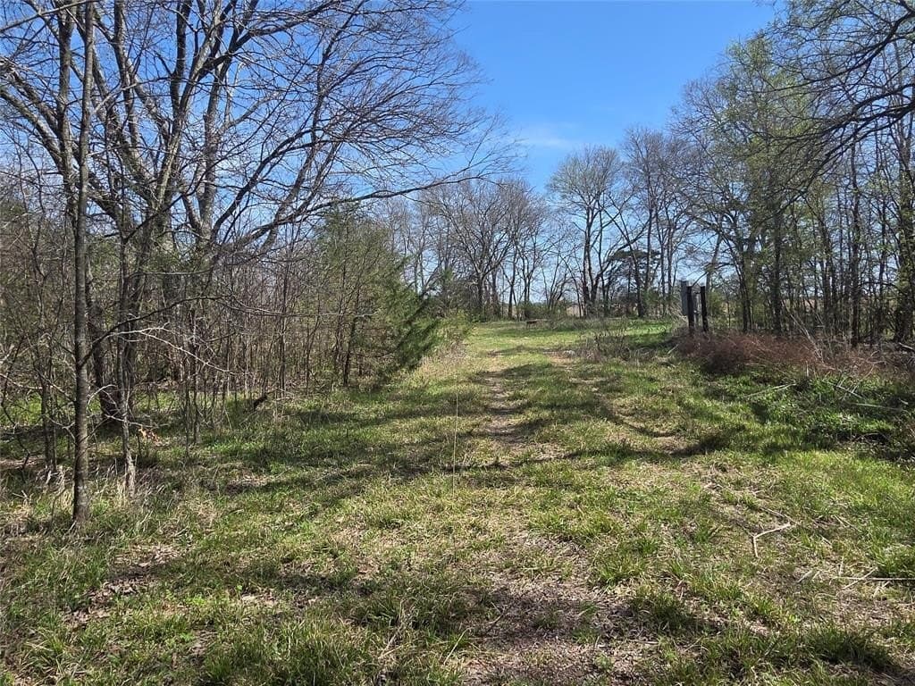 2.14 acres in Fannin County - photo 4