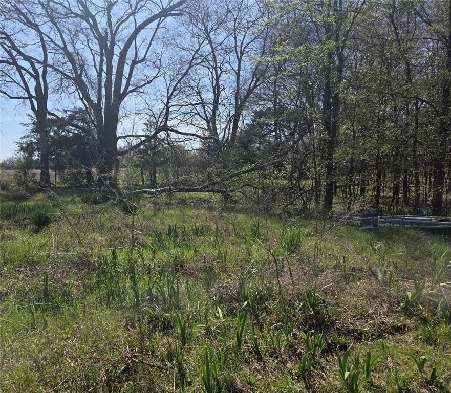 2.14 acres in Fannin County - photo 5