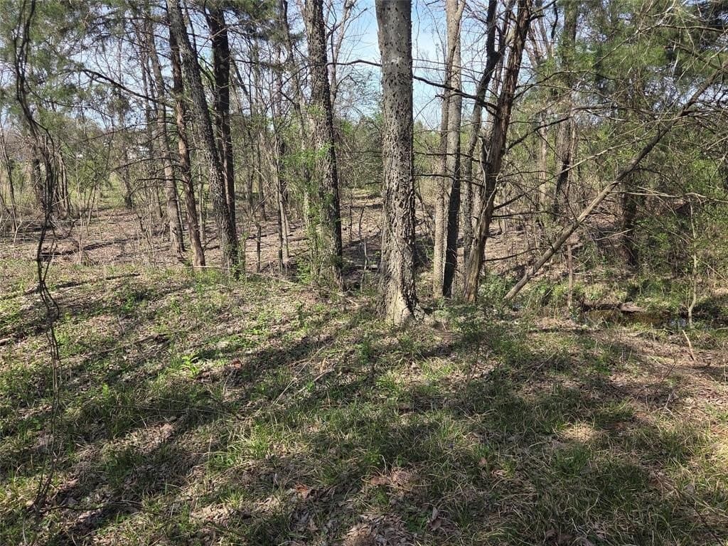 2.14 acres in Fannin County - photo 15