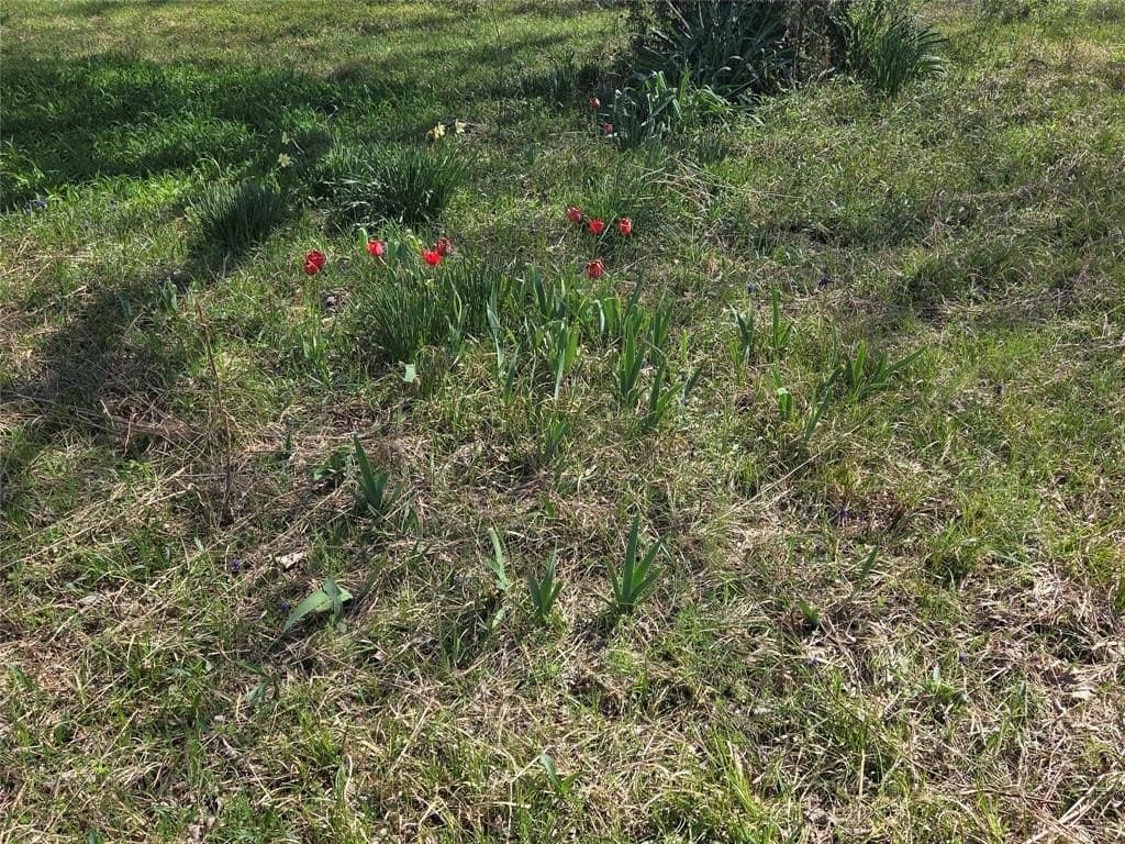 2.14 acres in Fannin County - photo 19