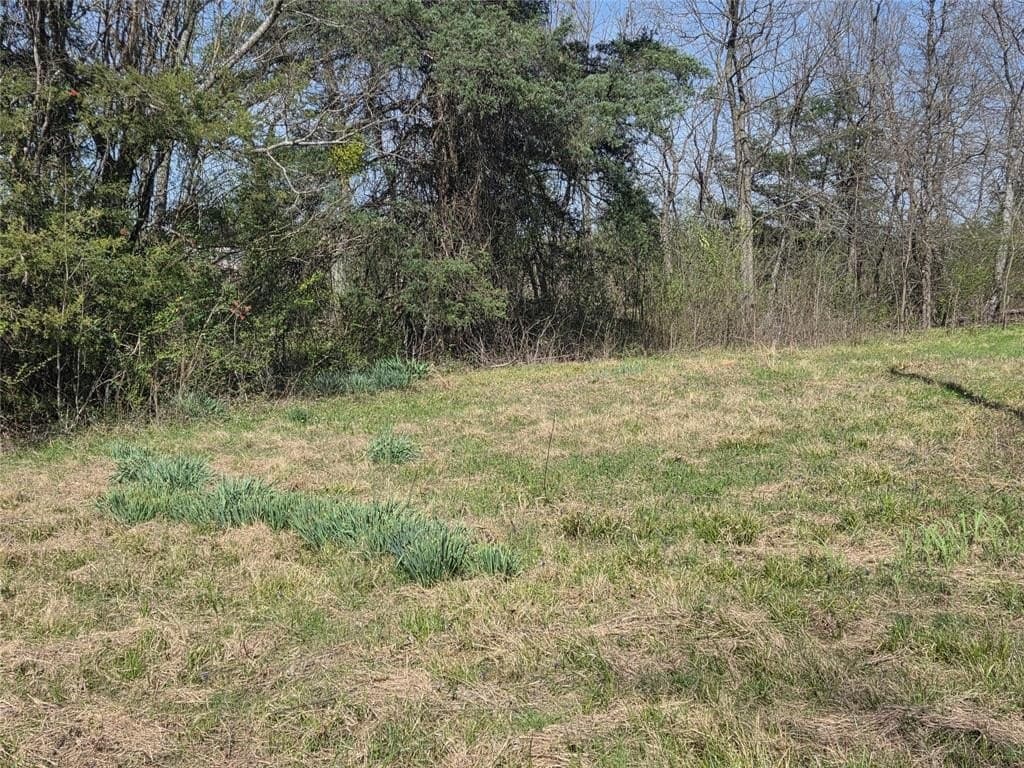 2.14 acres in Fannin County - photo 10